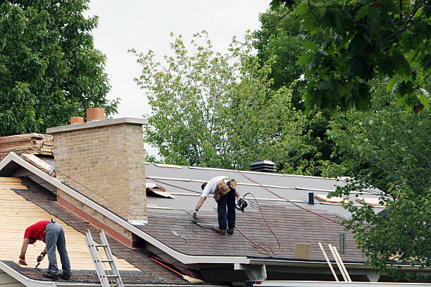 Best Roof Gutter Cleaning  in Greenville, MS